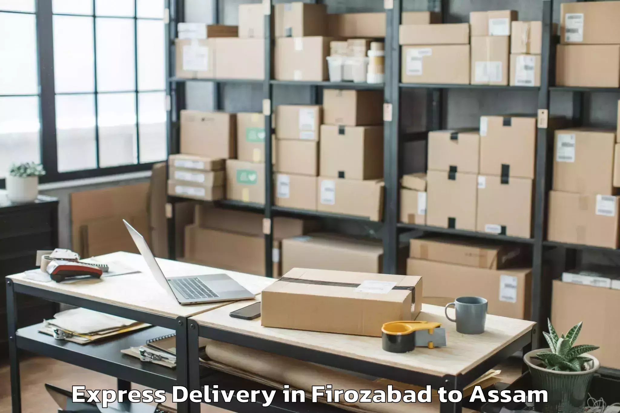 Professional Firozabad to Bokolia Express Delivery